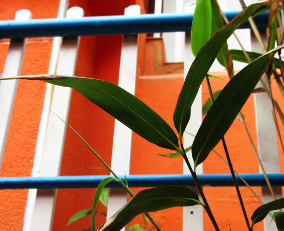 25°C Four Season Youth Hostel تشينغداو المظهر الخارجي الصورة